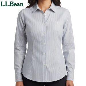 NEW L.L. Bean Women's Wrinkle-Free Pinpoint Shirt, Long Sleeve Striped, Size XL
